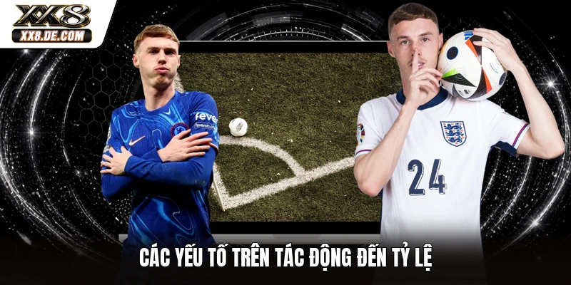 Các yếu tố trên tác động đến tỷ lệ